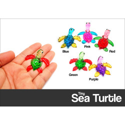 Sea Turtle