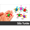 Sea Turtle