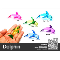 Dolphin
