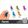 Parrot
