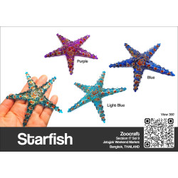 Starfish