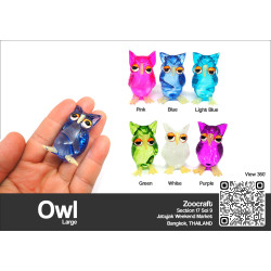 Single Owl