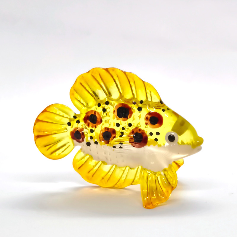 Fish-No.62