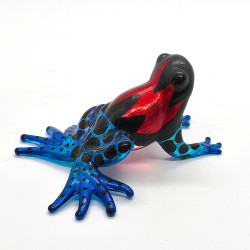 Magic Frog-Blue