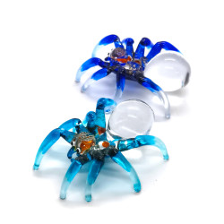 Spider-Sparkling