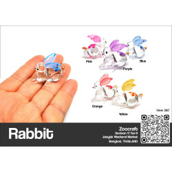 Tiny rabbit