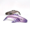 Humpback Whale