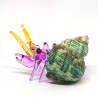 Hermit Crab