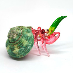 Hermit Crab