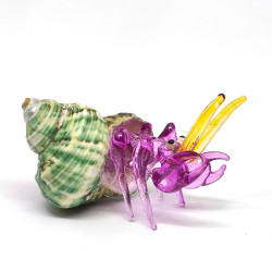Hermit Crab