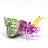 Hermit Crab
