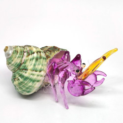 Hermit Crab