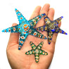 Starfish