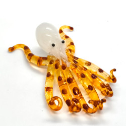 Squid