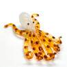 Squid
