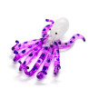 Squid