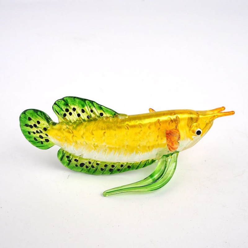 Arowana-Yellow