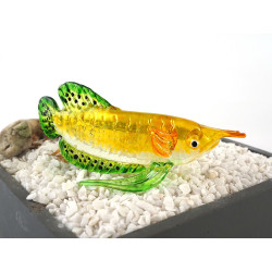 Arowana-Yellow