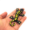 Gecko-Black
