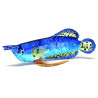 Arowana-Blue