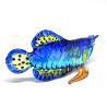 Arowana-Blue