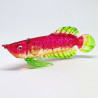 Arowana-Red