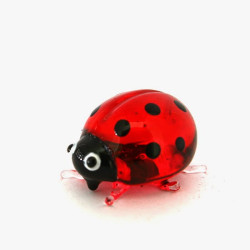 Ladybug