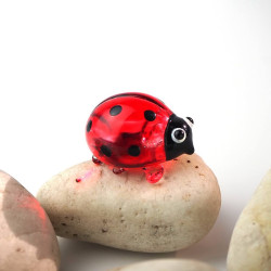 Ladybug
