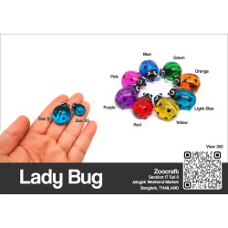 Ladybug