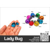 Ladybug