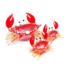 Crab-Sparkling