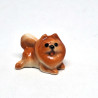 Tiny Pomeranian