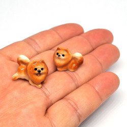 copy of Tiny Pomeranian