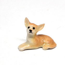 Tiny Chihuahua