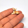 Tiny Chihuahua