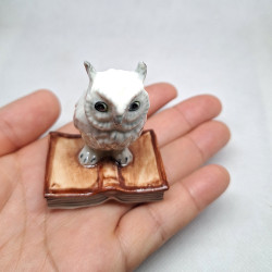 White Owl On Book