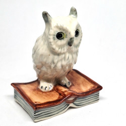White Owl On Book