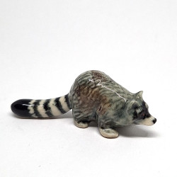 Raccoon