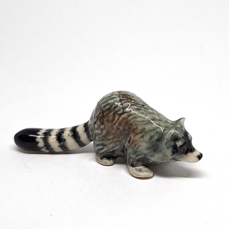Raccoon