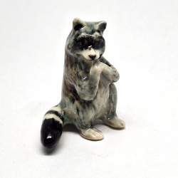 Raccoon