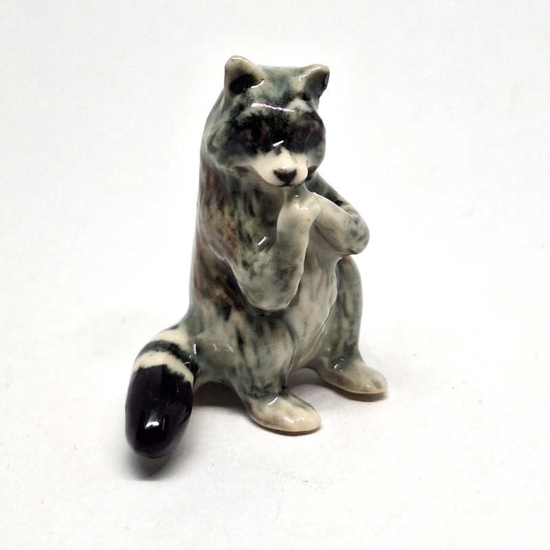 copy of Raccoon