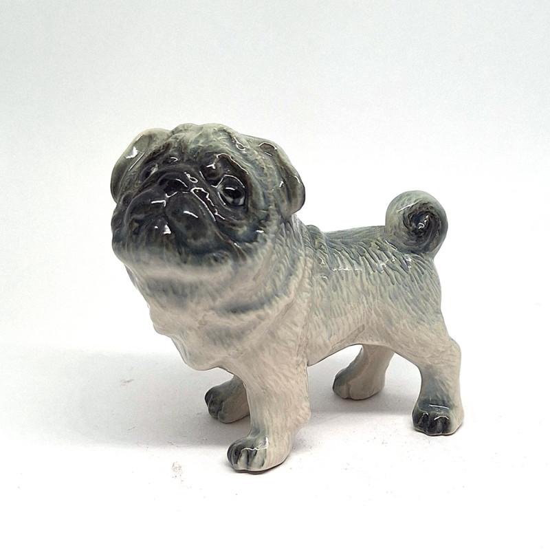 Blackface Dog