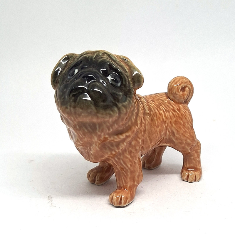 copy of Blackface Dog
