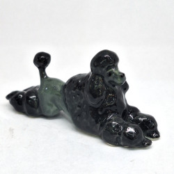 Black Pooddle