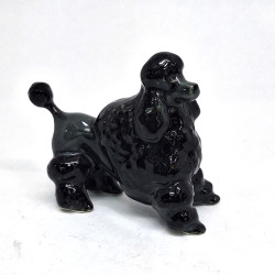 Black Pooddle