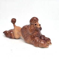 Brown Pooddle