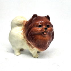 Pom Dog