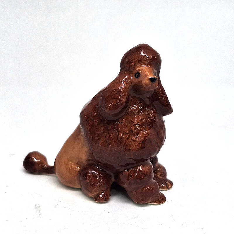 Brown Pooddle