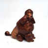 Brown Pooddle