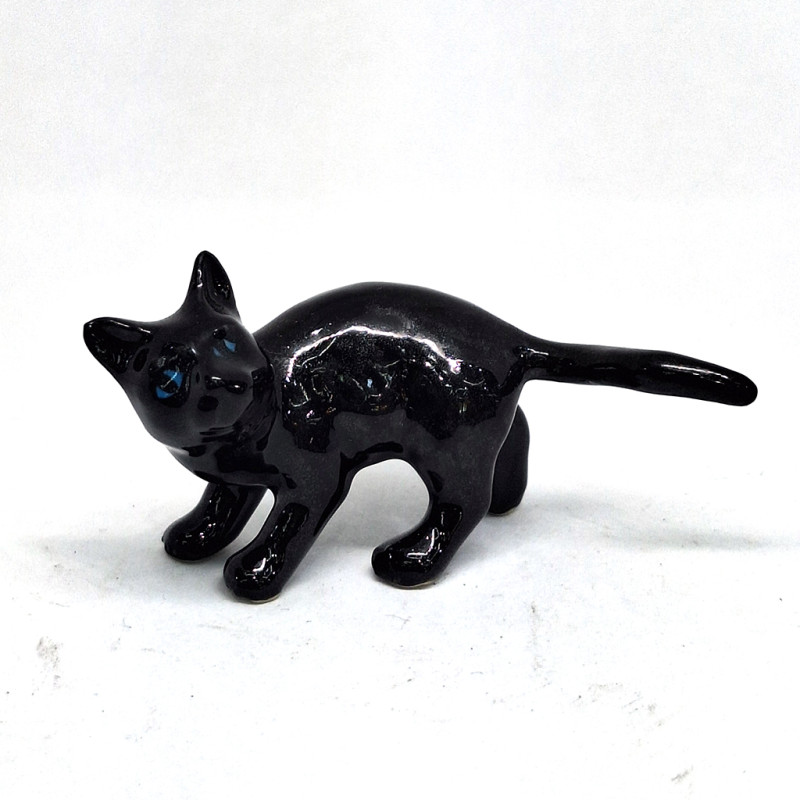 copy of Cat